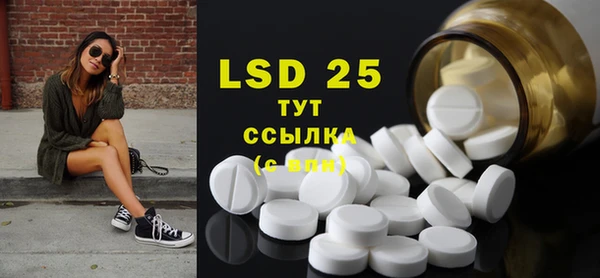 прущий лед Дмитриев