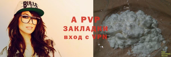 гидра Гусиноозёрск