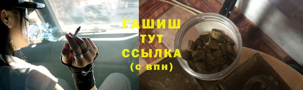 прущий лед Дмитриев