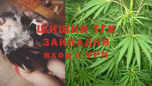 прущий лед Дмитриев